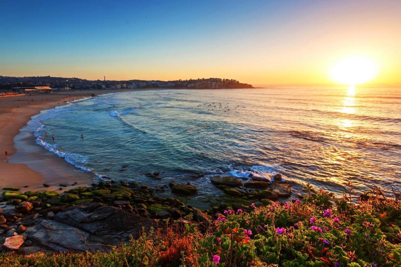 Newlife Serviced Apartments Bondi Junction Sydney Luaran gambar